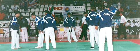 rimoni 1996